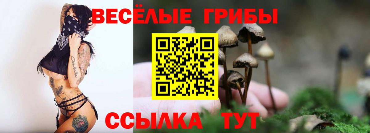 где можно купить   Псилоцибиновые грибы мухоморы  Ангарск  Вход с VPN  Галлюциногенные грибы Psilocybe 